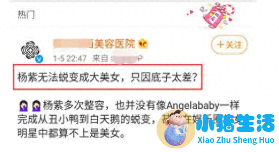 杨紫杨幂再陷整容风波，网友终于相信倪