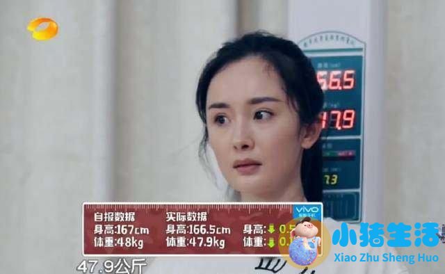 杨幂减肥方法大公开