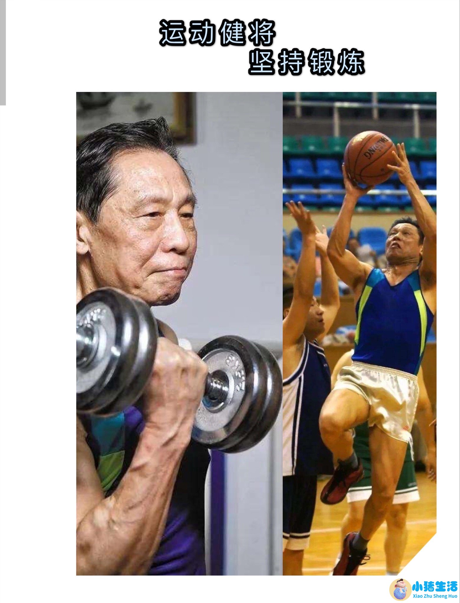 健身健康饮食面包类