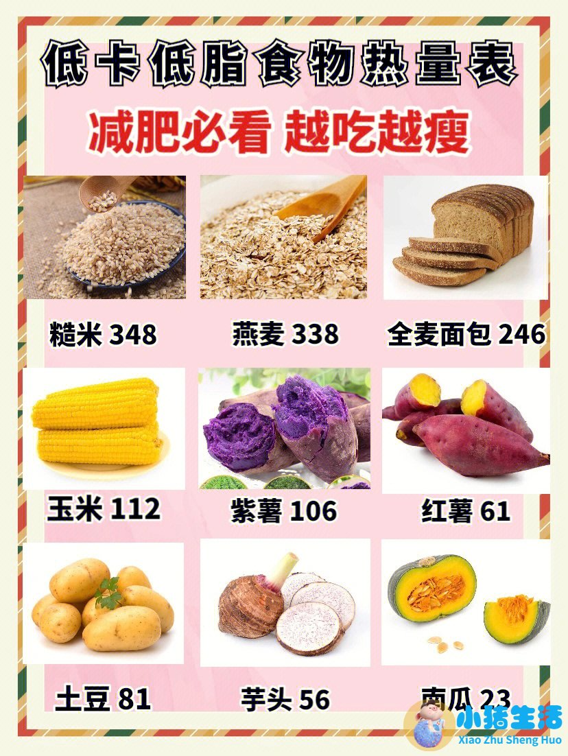 怎样运动减肥不反弹