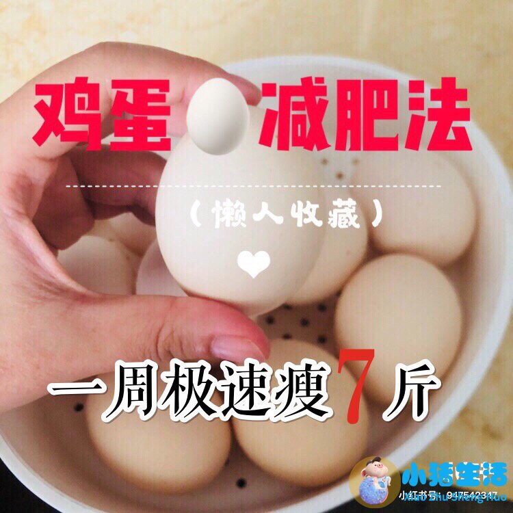 不运动减肥成功案例