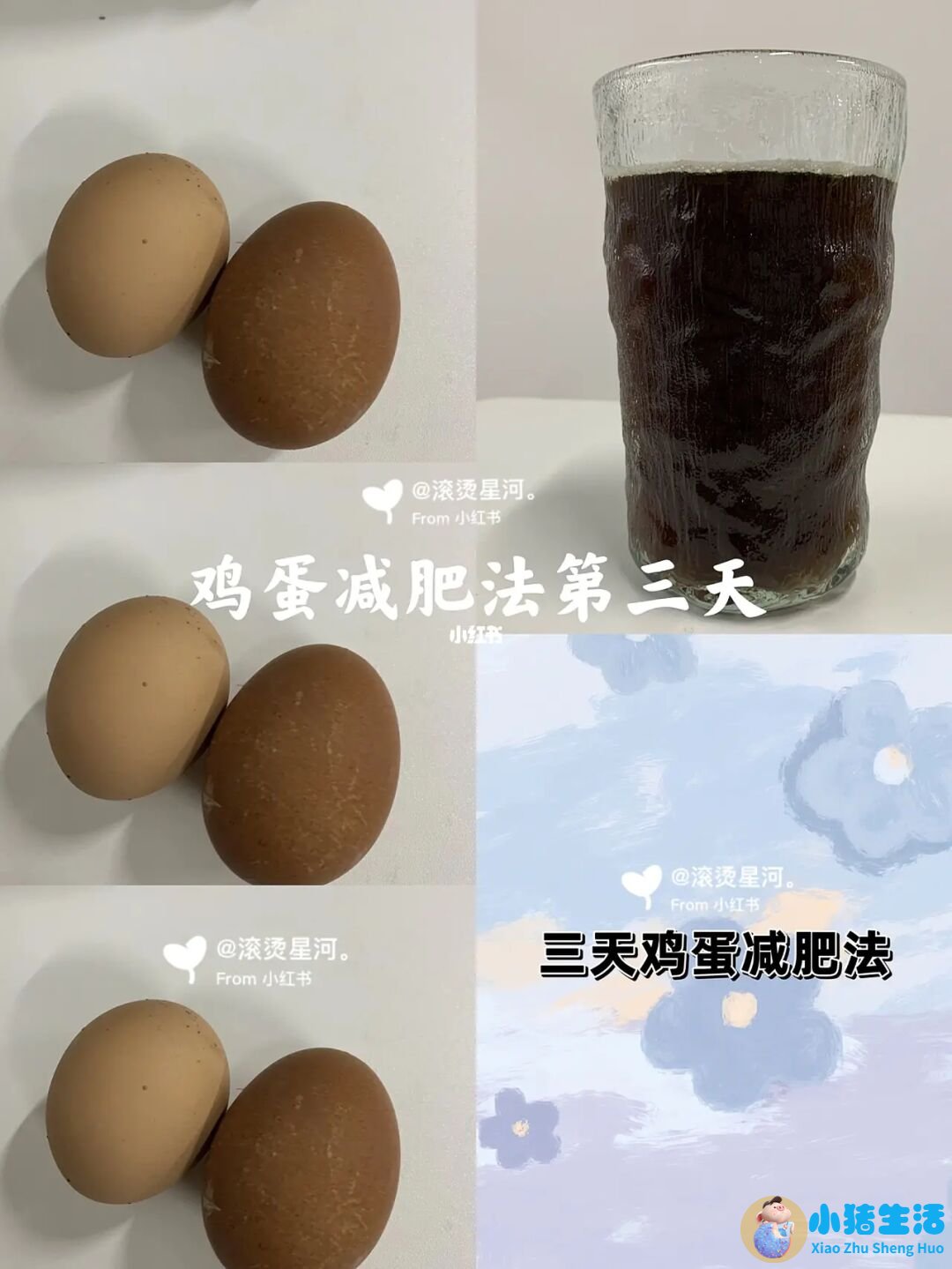 不运动减肥成功案例