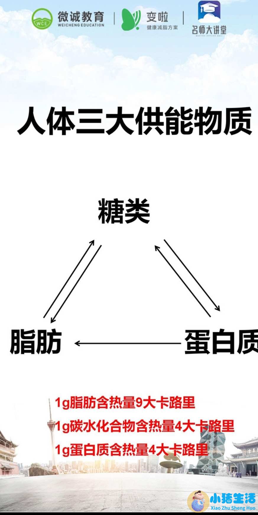 不运动减肥成功案例