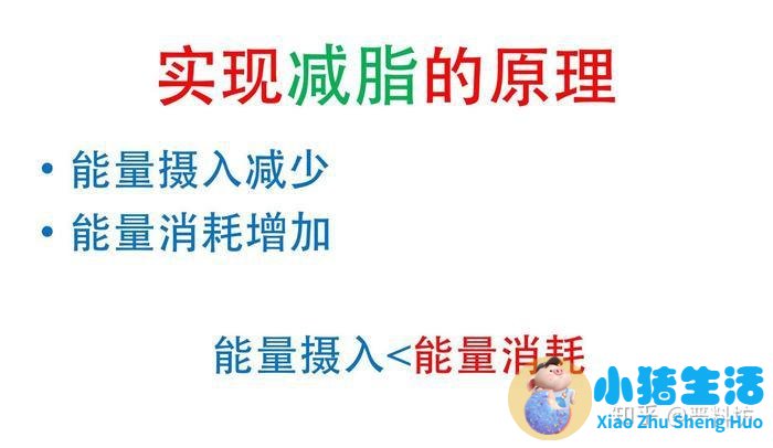 不运动减肥成功案例