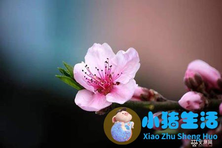 男人结婚的目的和意义是什么