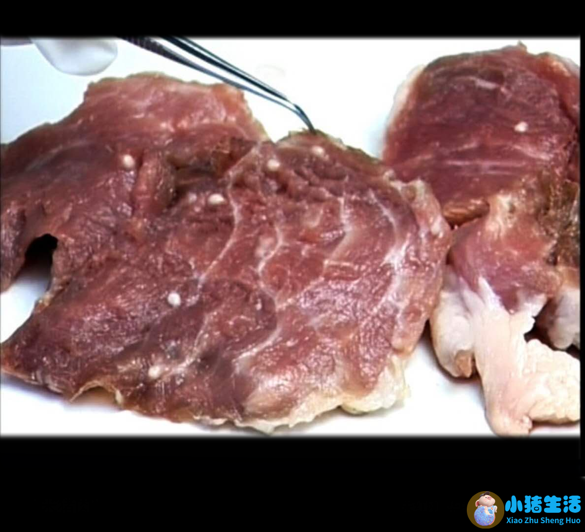 米猪肉肥肉上有米粒吗