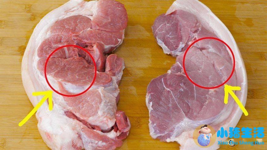 米猪肉肥肉上有米粒吗