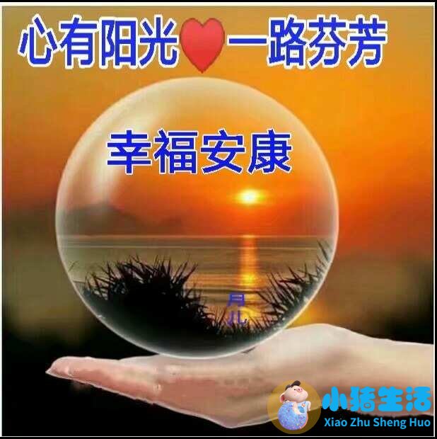 想追求一个女孩语录