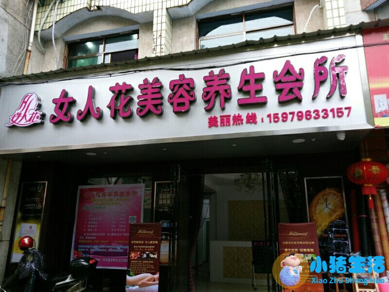 健康养生食品加盟