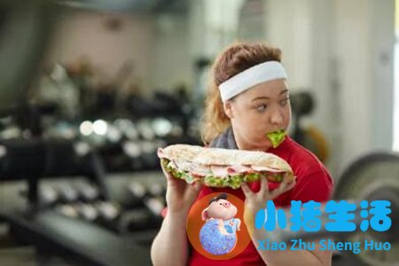 饮食减肥计划表