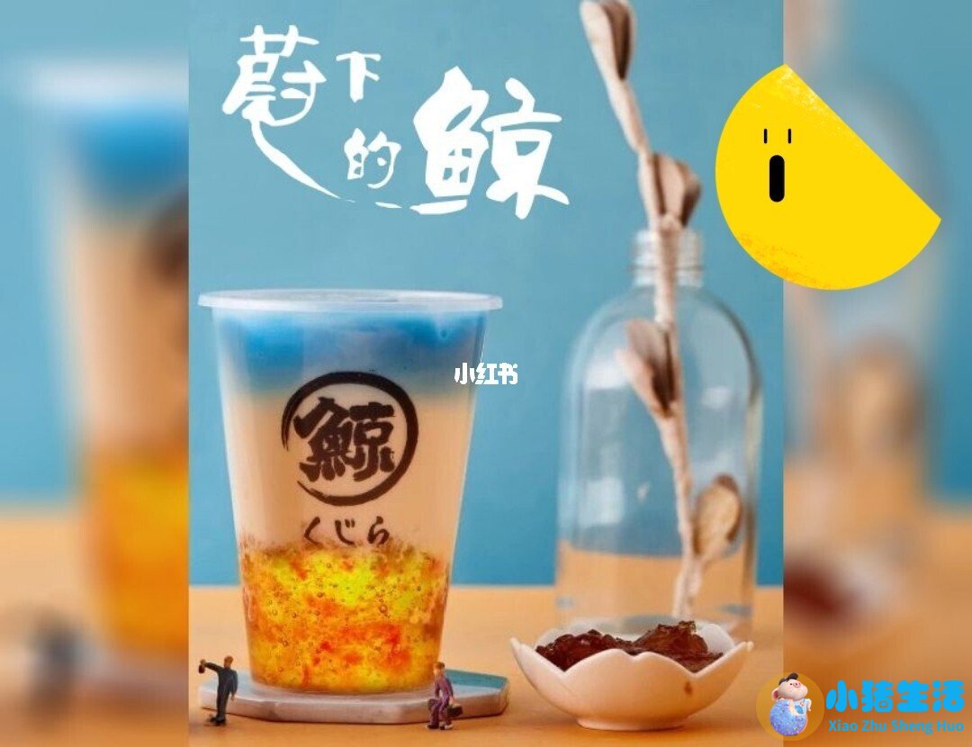 健康养生食品加盟