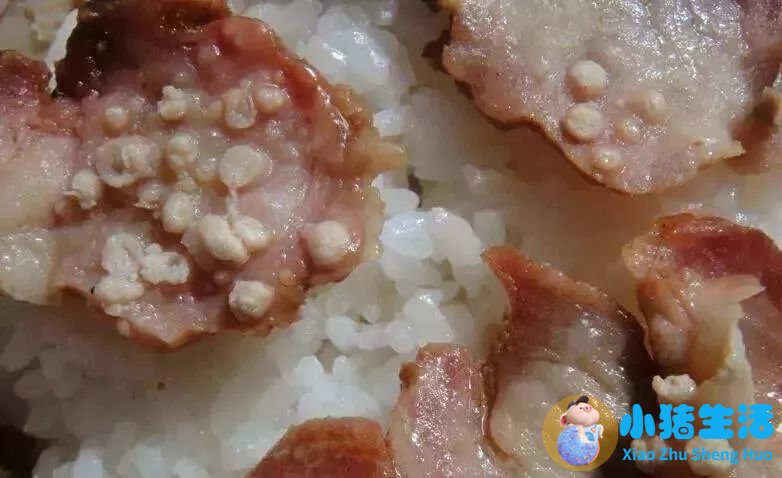 米猪肉肥肉上有米粒吗