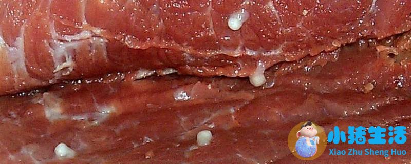 米猪肉肥肉上有米粒吗