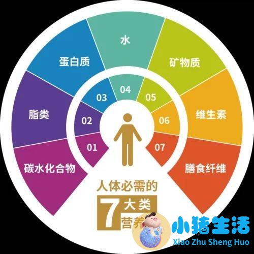 下列物质不属于有机营养素的是（　　）