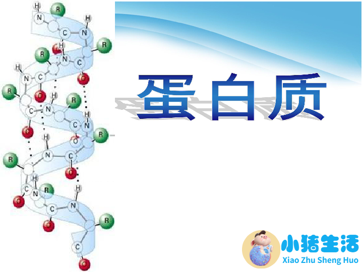 不属于营养素的物质是