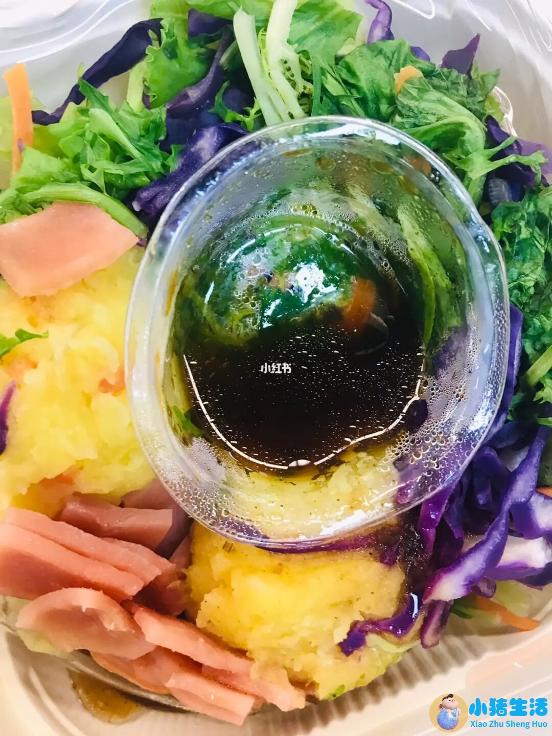 饮食减肥计划表