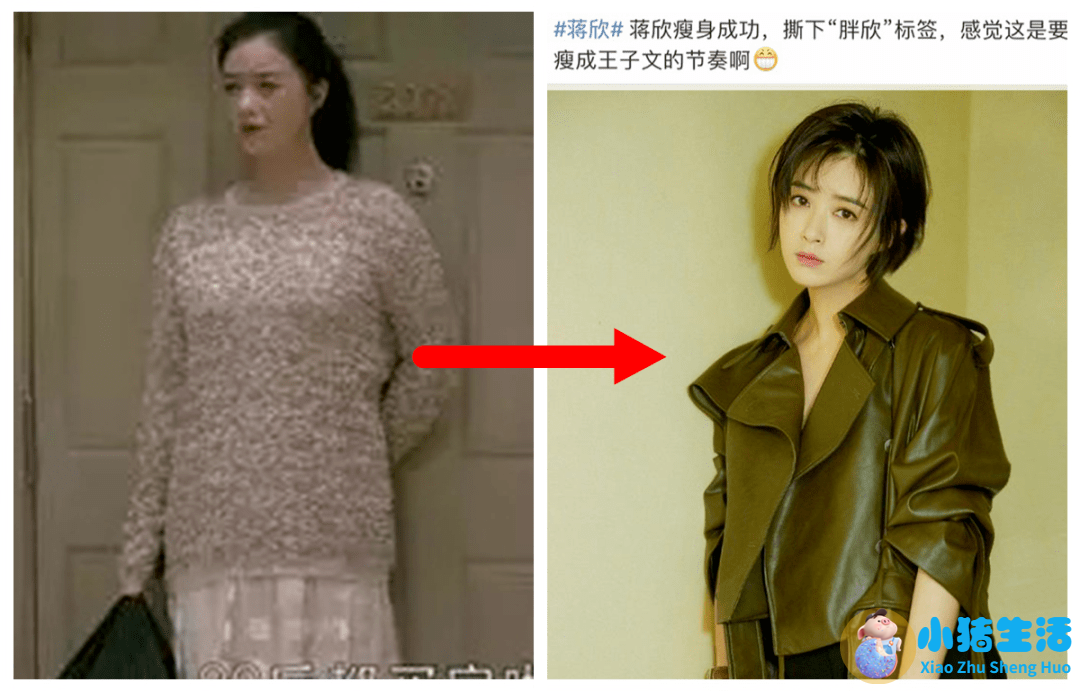 不运动减肥成功案例