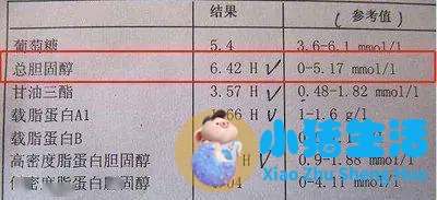 不运动减肥成功案例