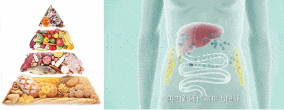 不运动减肥成功案例
