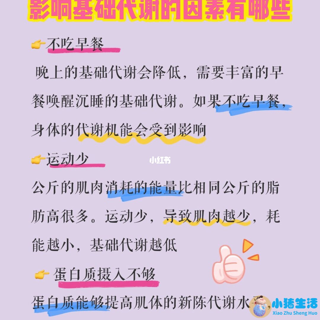 不运动减肥成功案例