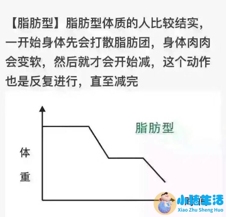 不运动减肥成功案例