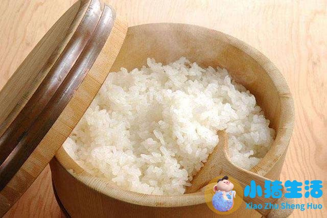 饮食减肥计划表