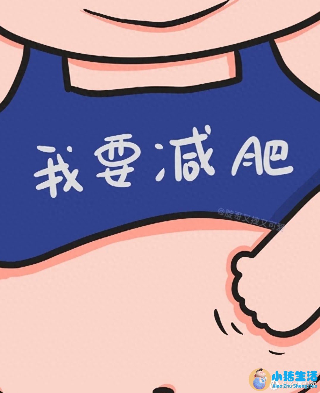 饮食减肥计划表