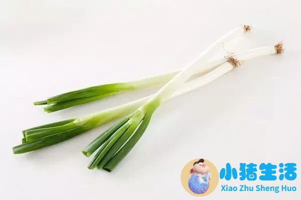 头皮上长痘痘没头发