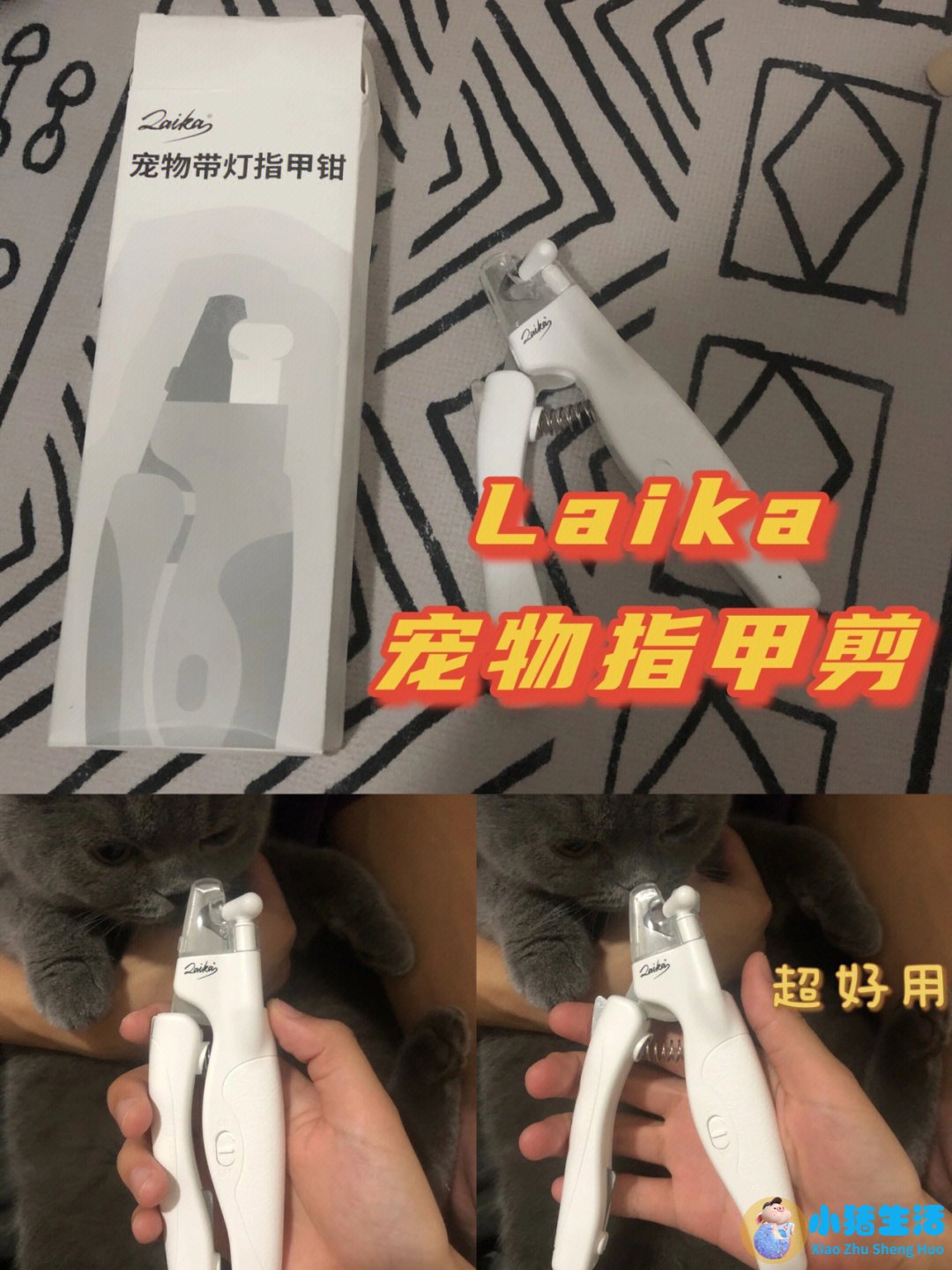 猫什么时候可以剪指甲