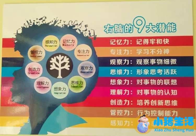 0到3岁儿童早期教育