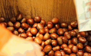 养生:西兰花洋葱 25种食物竟是不老仙丹