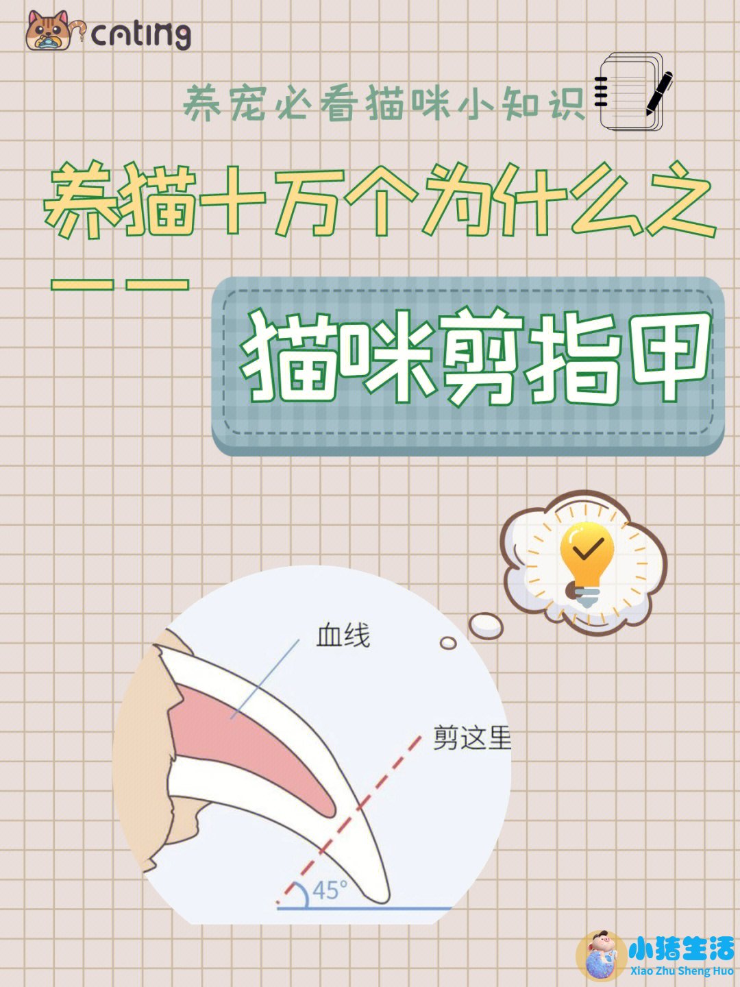 猫什么时候可以剪指甲