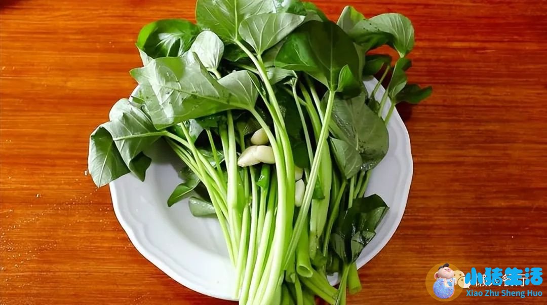 养生:西兰花洋葱 25种食物竟是不老仙丹