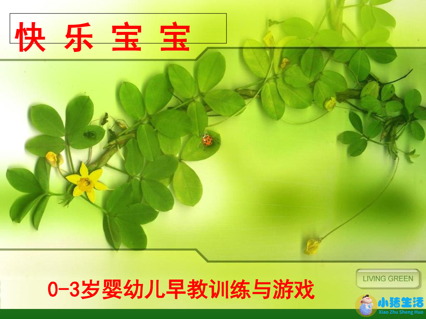 0-3岁婴幼儿教育早教训练