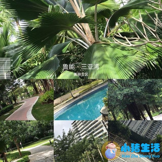 房山十渡旅游带老人孩子适合哪个渡