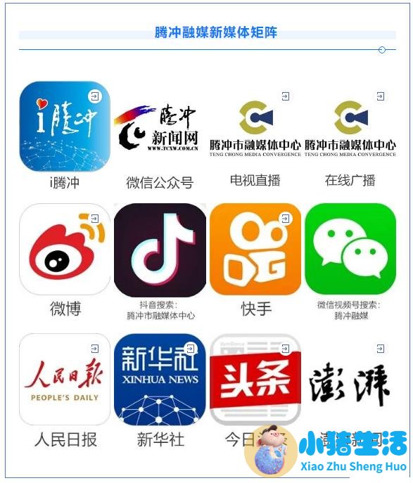 澎湃新闻 医学