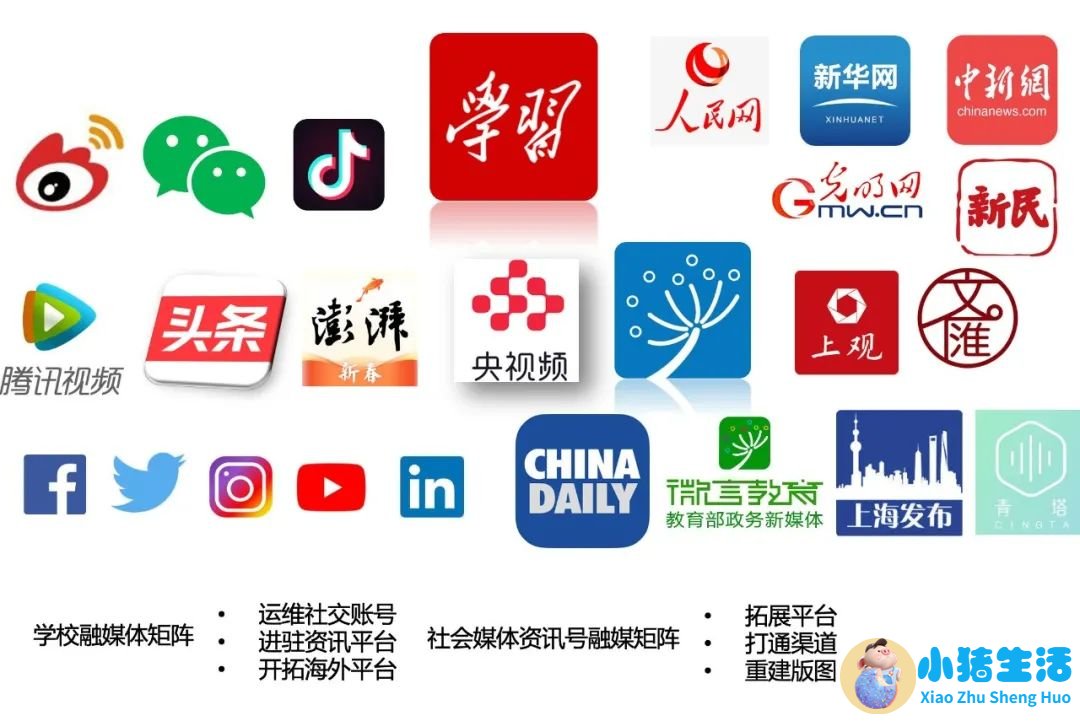 澎湃新闻 医学