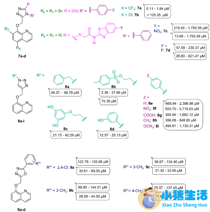 局部麻醉药的构效关系是怎样的