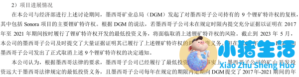 赣锋锂业回应9个锂矿特许权被墨西哥政府