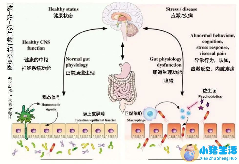 淀粉样变中药治疗方法