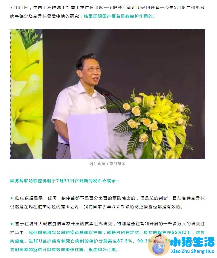 澎湃新闻 医学