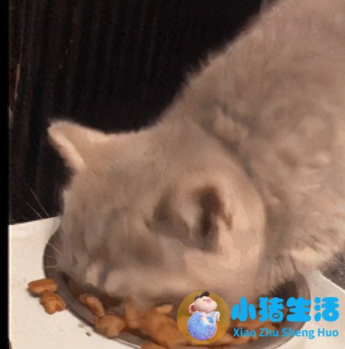 女性下腹胀是什么原因