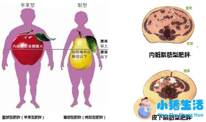 女性下腹胀是什么原因