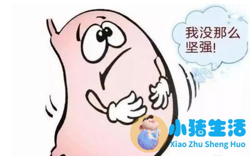 女性下腹胀是什么原因