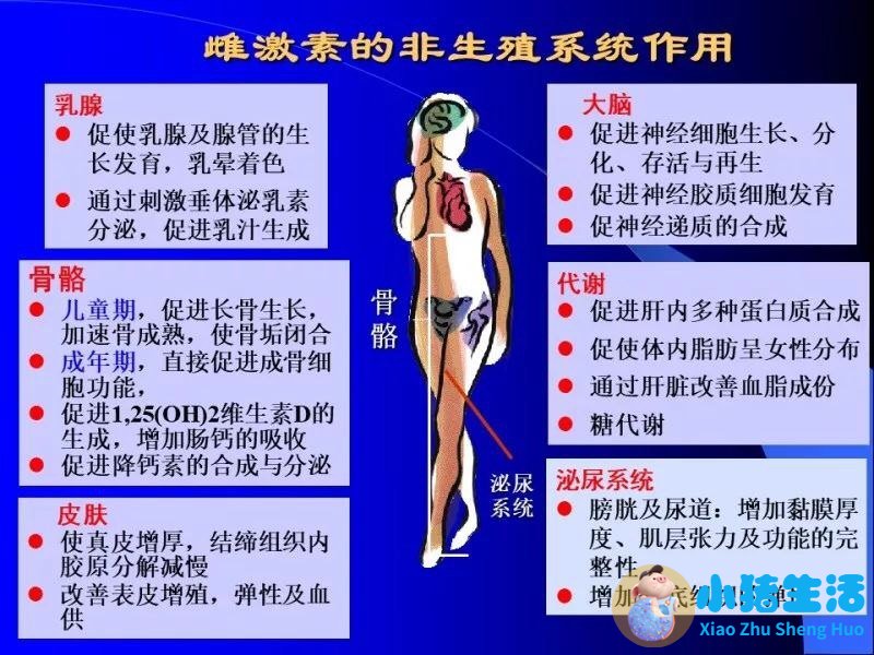 女性下腹胀是什么原因
