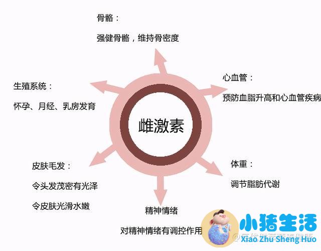 女性下腹胀是什么原因