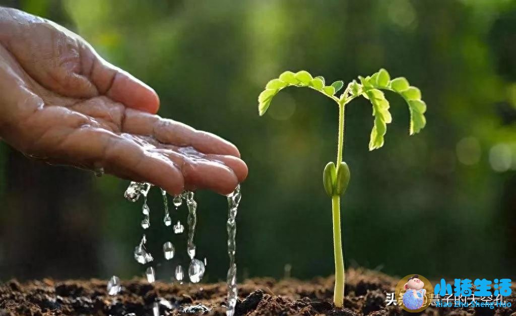 女性下腹胀是什么原因