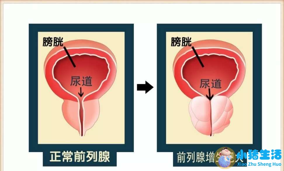 老年人怎样养生知识
