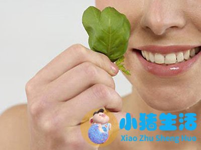 老年人怎样养生知识