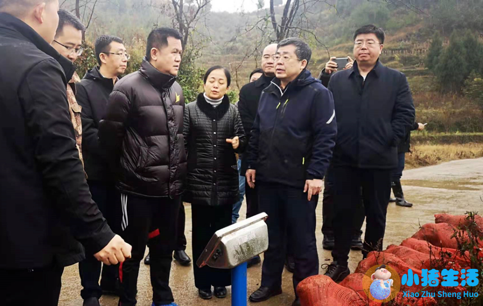中央水处理系统有用吗
